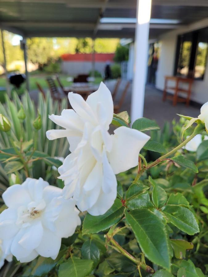 Ayana Bnb Bloemfontein Bagian luar foto